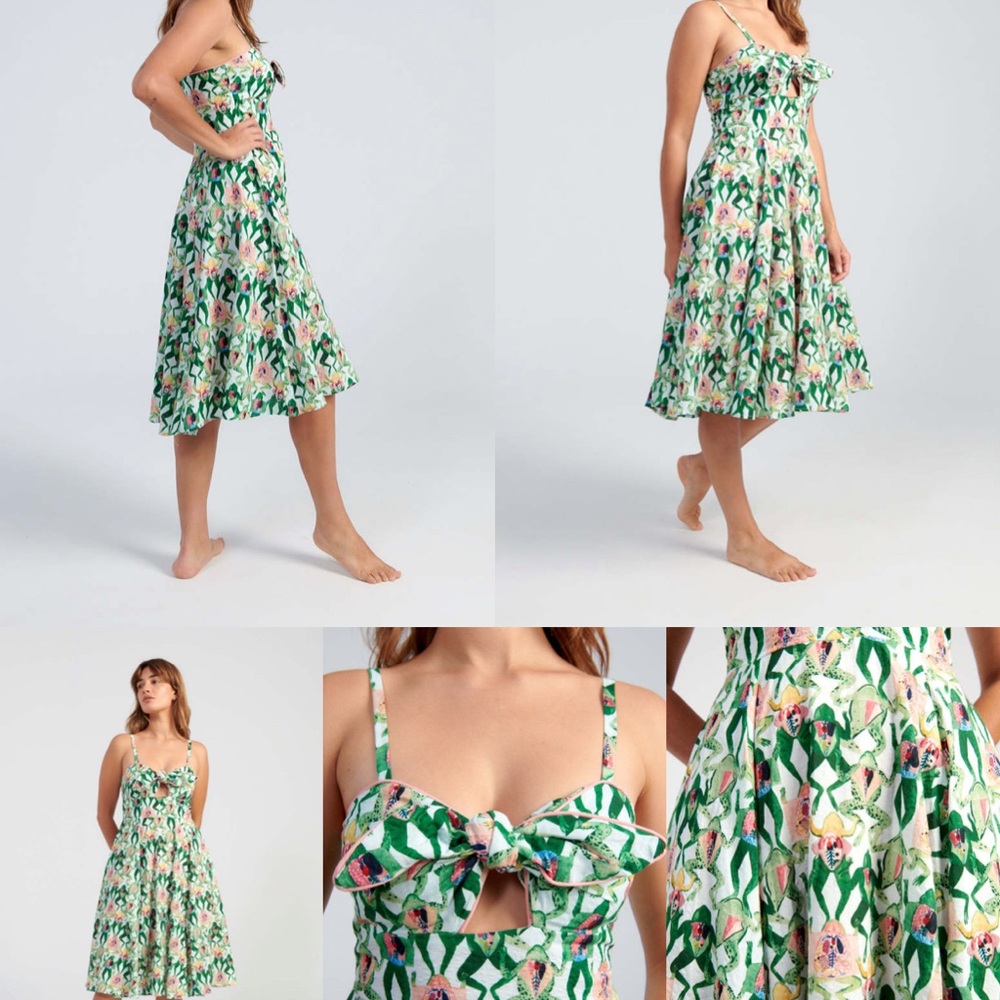 Rachel Antonoff Ali Dress dissected frogs POCKETS size 8
